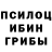 Псилоцибиновые грибы ЛСД Sergius Proktor