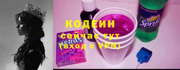 прущий лед Алзамай