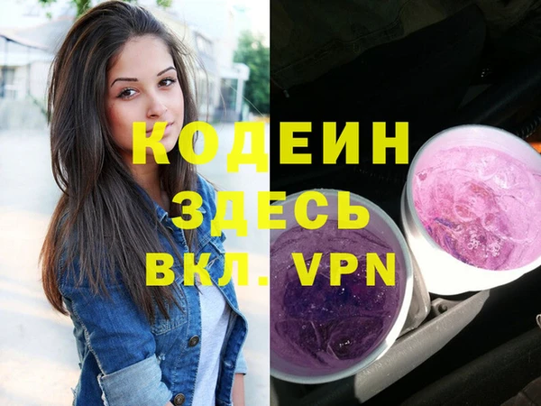 прущий лед Алзамай