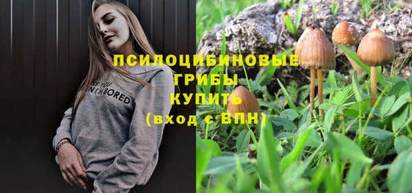 прущий лед Алзамай
