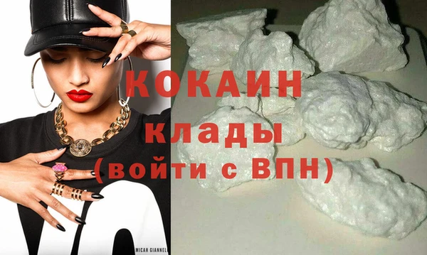 прущий лед Алзамай